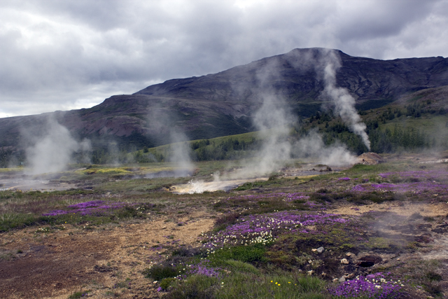 2011-07-08_10-07-27 island.jpg - Heie Quellen in Strokkur